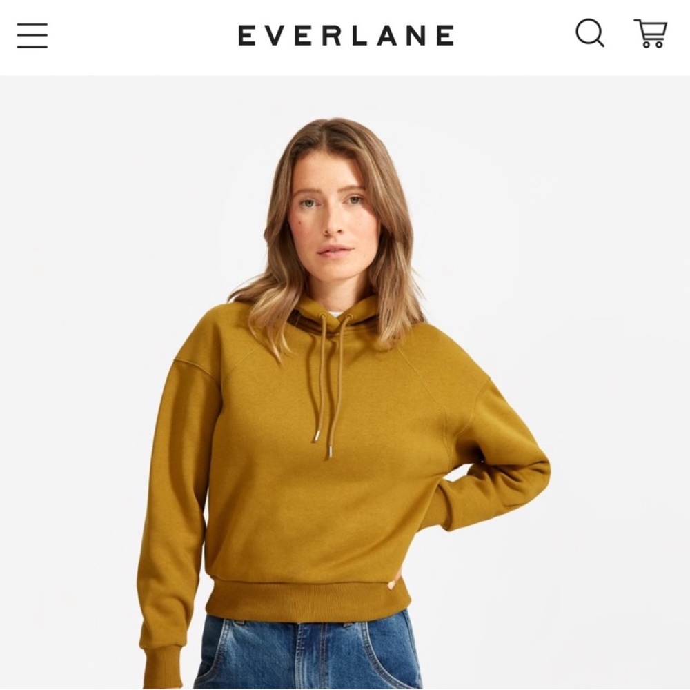 Everlane ReNew hoodie sweatshirt size small